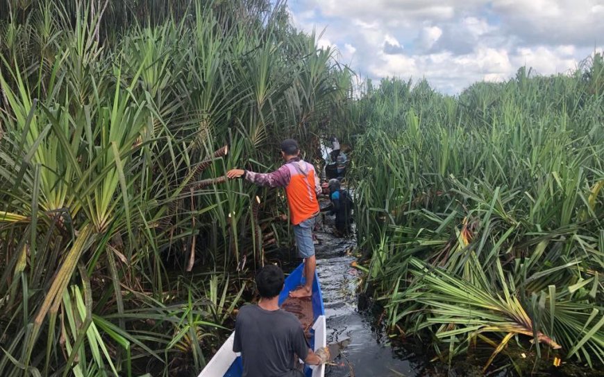 Debit Air Sungai Sebangau Menurun, Aktivitas Warga Terganggu