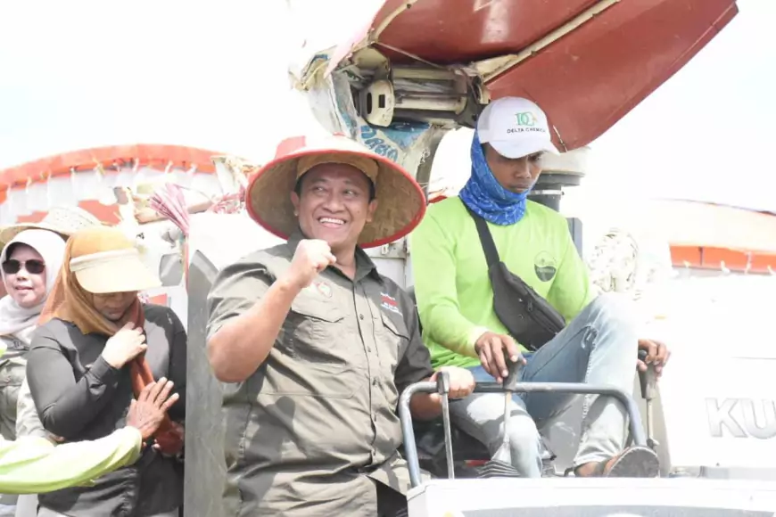 Kendalikan Inflasi, Wagub Kalteng Panen Perdana di Pulang Pisau 
