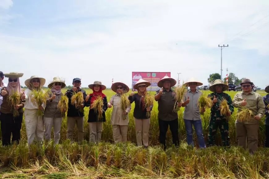 Kendalikan Inflasi, Wagub Kalteng Panen Perdana di Pulang Pisau 