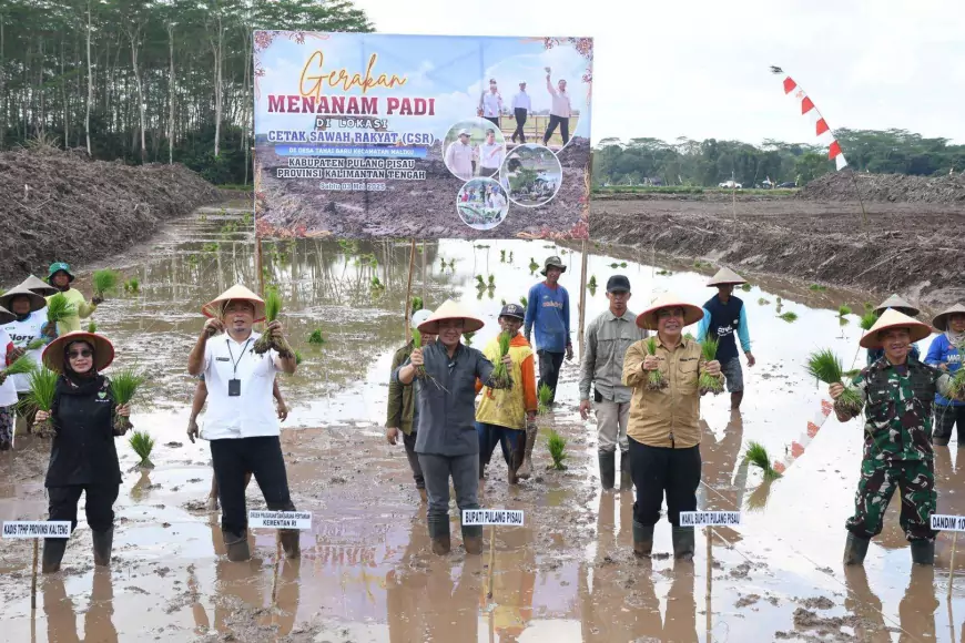 Bupati Pulang Pisau Hadiri Gerakan Tanam Padi Perdana di Lokasi Cetak Sawah Rakyat Desa Tahai Baru