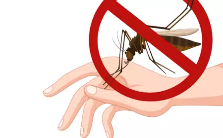 Waspadai Gejala dan Lakukan Pertolongan Pertama saat Terjangkit Demam Berdarah Dengue (DBD)