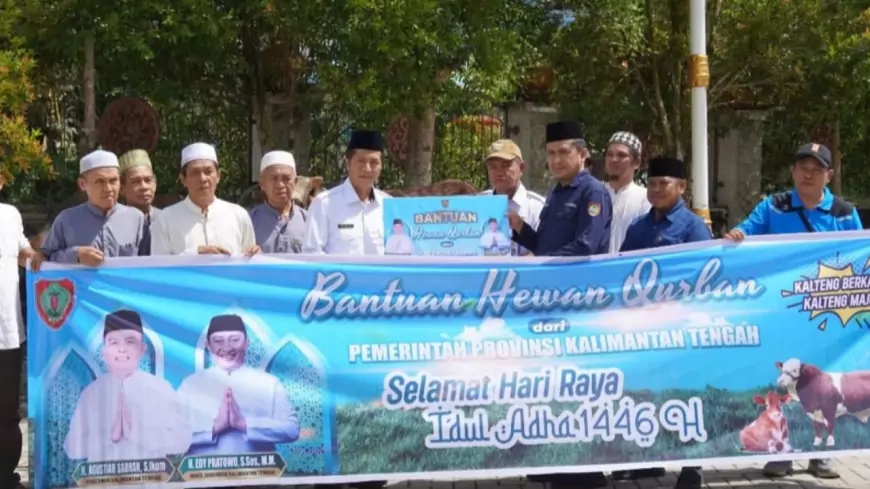 Pemkab Barito Utara Terima 30 Ekor Sapi Kurban dari Pemprov Kalteng untuk Idul Adha 1446 H
