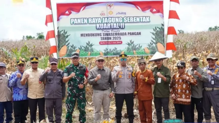 Pj. Bupati Barito Utara Hadiri Panen Raya Jagung Kuartal II di Desa Mampuak I